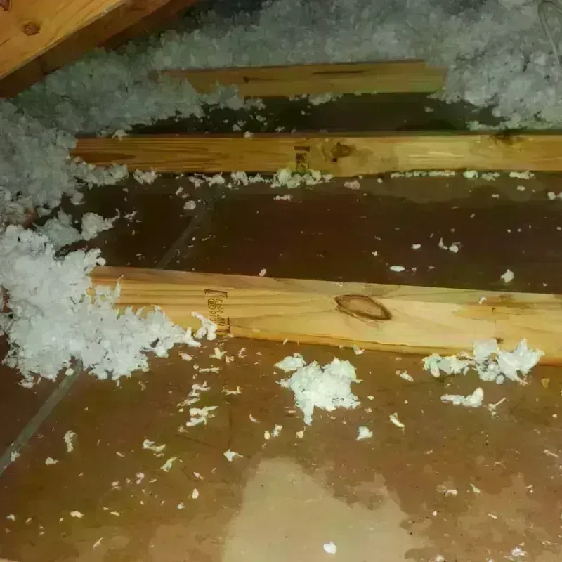 Attic Water Damage in Madison, MS