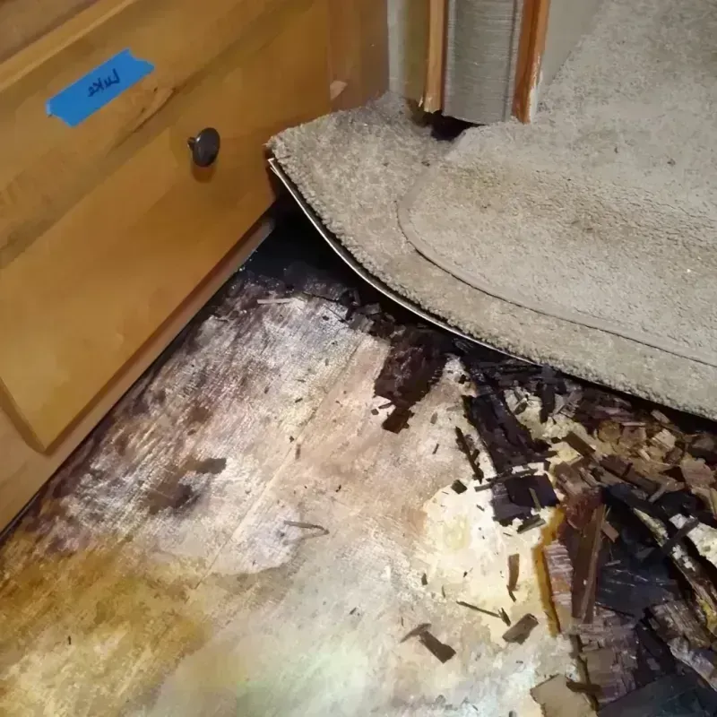 Wood Floor Water Damage in Madison, MS